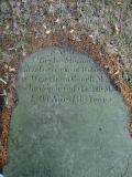 image of grave number 377566